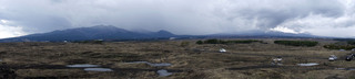 _DSC1448_0.jpg